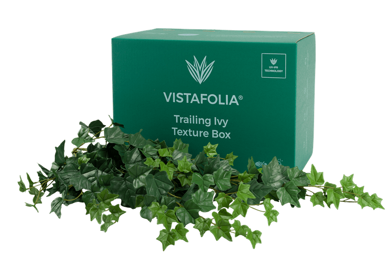 Trailing Ivy Texture Box
